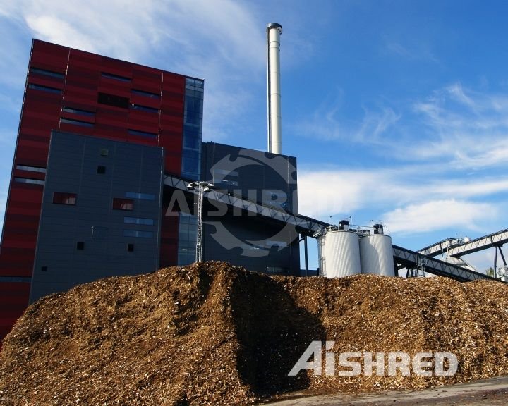 biomassza erőmű