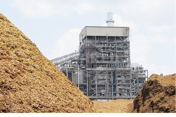 Biomassza tüzelés/együttügetés hő- és energiatermeléshez